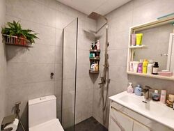 The Sunny Spring (D14), Apartment #607523731
